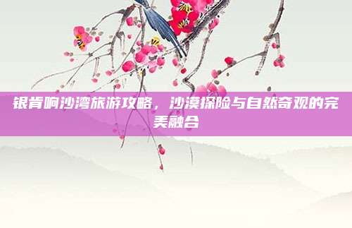 银肯响沙湾旅游攻略，沙漠探险与自然奇观的完美融合