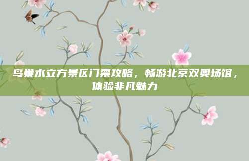 鸟巢水立方景区门票攻略,畅游北京双奥场馆,体验非凡魅力