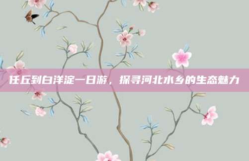 任丘到白洋淀一日游,探寻河北水乡的生态魅力