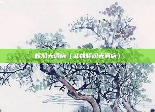 辉润大酒店(武都辉润大酒店)