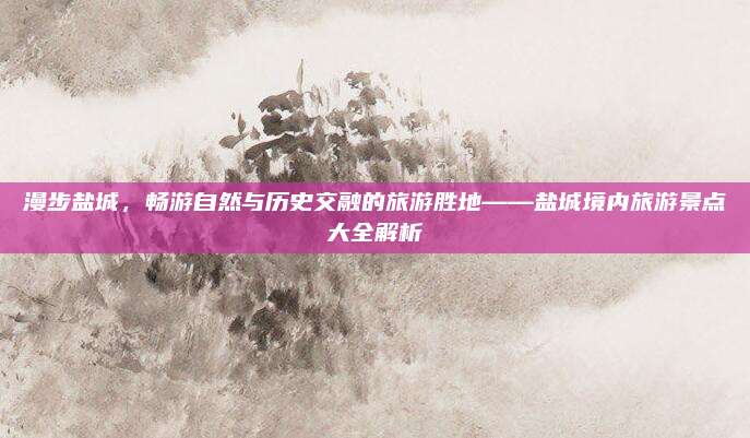 漫步盐城,畅游自然与历史交融的旅游胜地——盐城境内旅游景点大全解析