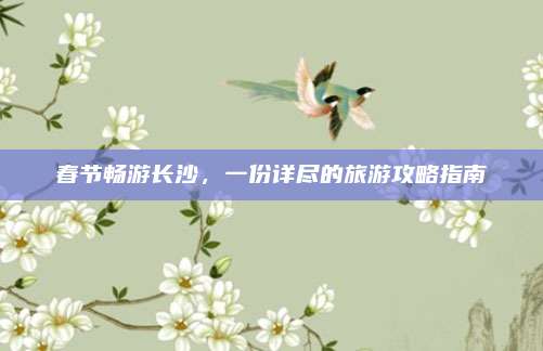 春节畅游长沙，一份详尽的旅游攻略指南