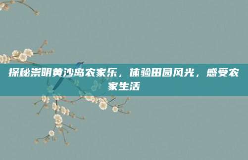探秘崇明黄沙岛农家乐,体验田园风光,感受农家生活