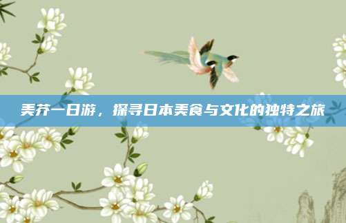 美芥一日游，探寻日本美食与文化的独特之旅