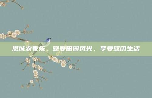 恩城农家乐，感受田园风光，享受悠闲生活