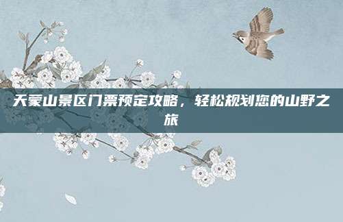 天蒙山景区门票预定攻略，轻松规划您的山野之旅