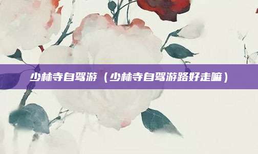 少林寺自驾游（少林寺自驾游路好走嘛）