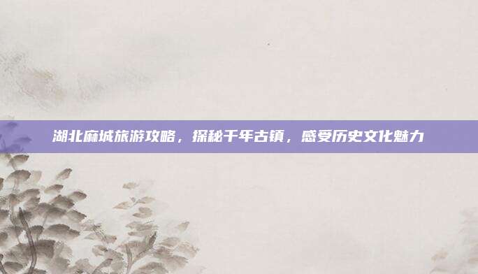 湖北麻城旅游攻略,探秘千年古镇,感受历史文化魅力