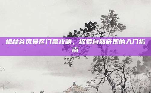枫林谷风景区门票攻略，探索自然奇观的入门指南