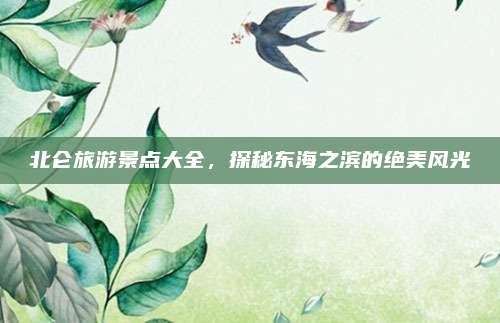 北仑旅游景点大全，探秘东海之滨的绝美风光