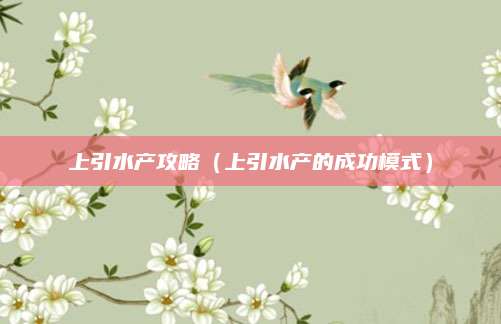 上引水产攻略（上引水产的成功模式）