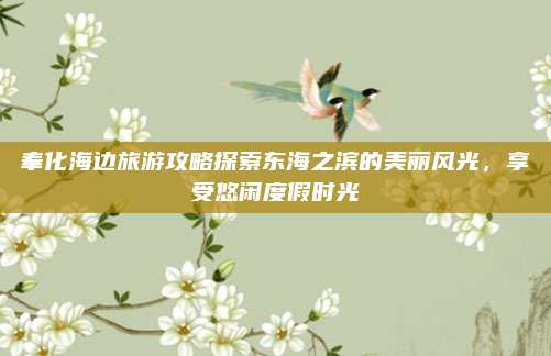 奉化海边旅游攻略探索东海之滨的美丽风光，享受悠闲度假时光