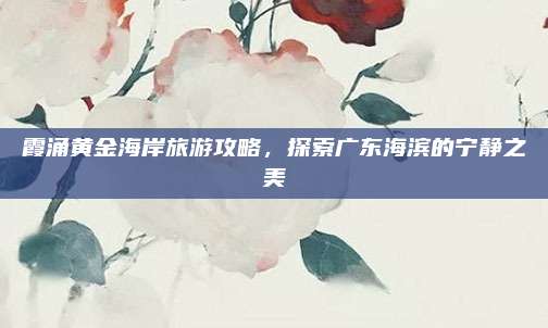 霞涌黄金海岸旅游攻略，探索广东海滨的宁静之美