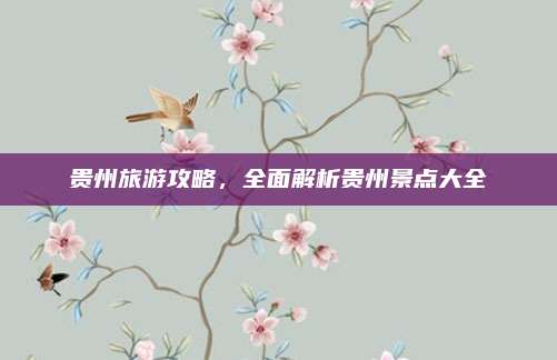 贵州旅游攻略,全面解析贵州景点大全
