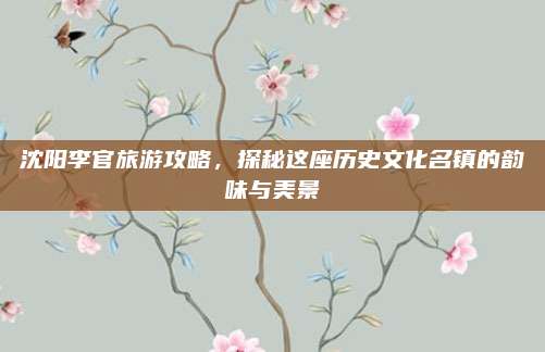 沈阳李官旅游攻略,探秘这座历史文化名镇的韵味与美景