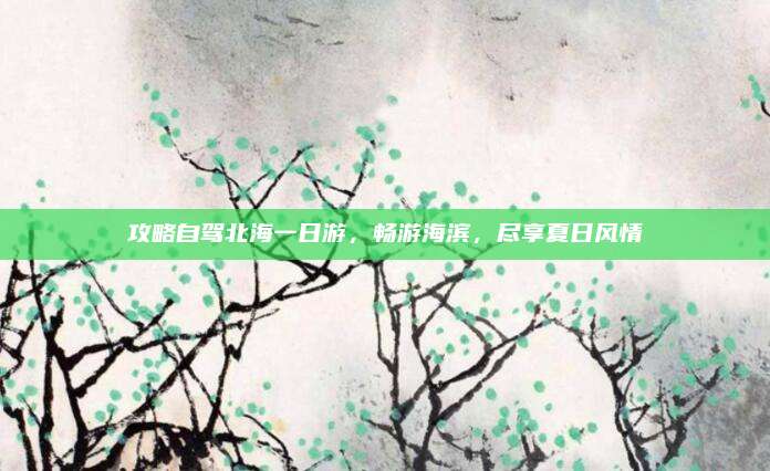 攻略自驾北海一日游，畅游海滨，尽享夏日风情