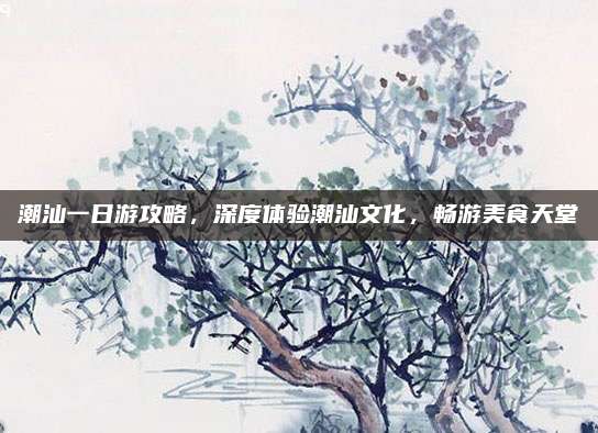 潮汕一日游攻略，深度体验潮汕文化，畅游美食天堂
