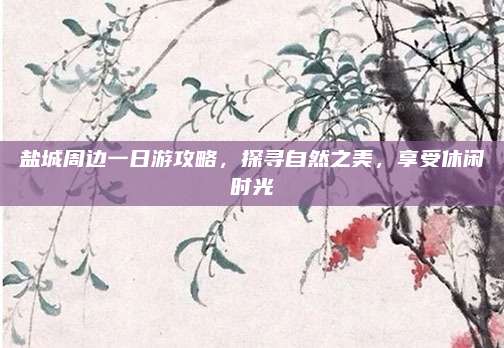盐城周边一日游攻略,探寻自然之美,享受休闲时光
