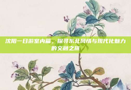 沈阳一日游室内篇，探寻东北风情与现代化魅力的交融之旅