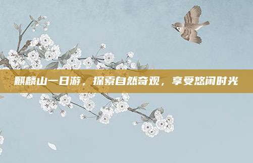 麒麟山一日游,探索自然奇观,享受悠闲时光