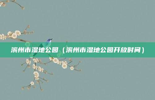 滨州市湿地公园（滨州市湿地公园开放时间）