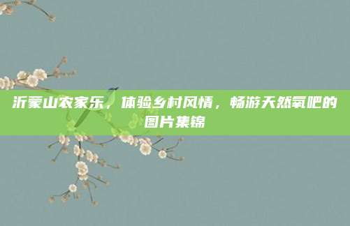 沂蒙山农家乐，体验乡村风情，畅游天然氧吧的图片集锦