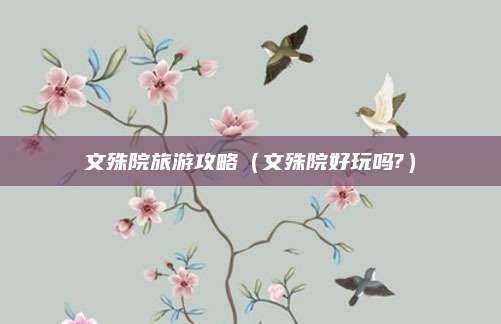 文殊院旅游攻略(文殊院好玩吗?)