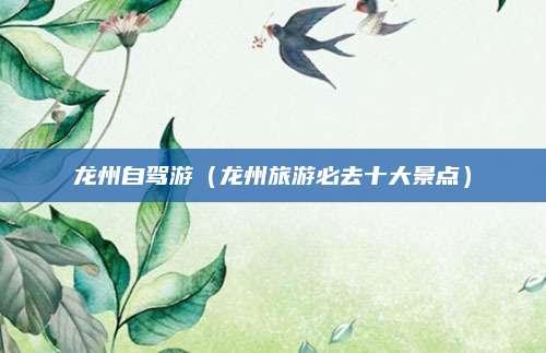 龙州自驾游(龙州旅游必去十大景点)