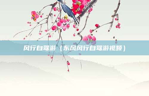 风行自驾游（东风风行自驾游视频）