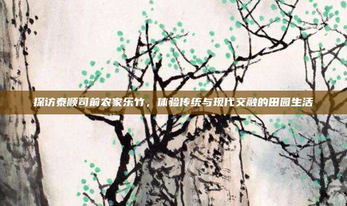 探访泰顺司前农家乐竹，体验传统与现代交融的田园生活