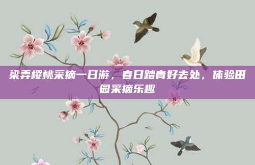 梁弄樱桃采摘一日游，春日踏青好去处，体验田园采摘乐趣