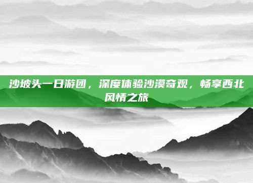 沙坡头一日游团,深度体验沙漠奇观,畅享西北风情之旅