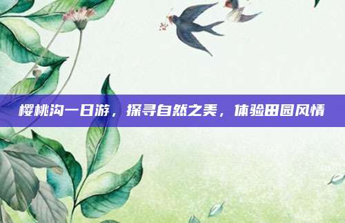 樱桃沟一日游，探寻自然之美，体验田园风情