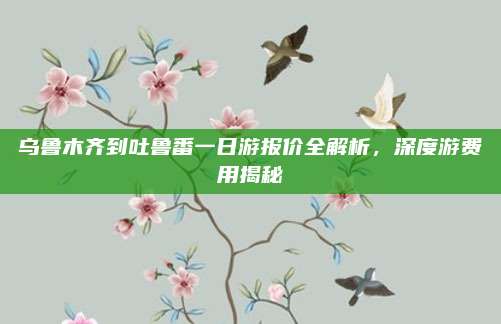 乌鲁木齐到吐鲁番一日游报价全解析，深度游费用揭秘