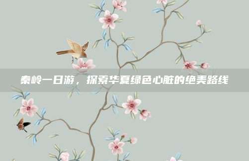 秦岭一日游，探索华夏绿色心脏的绝美路线