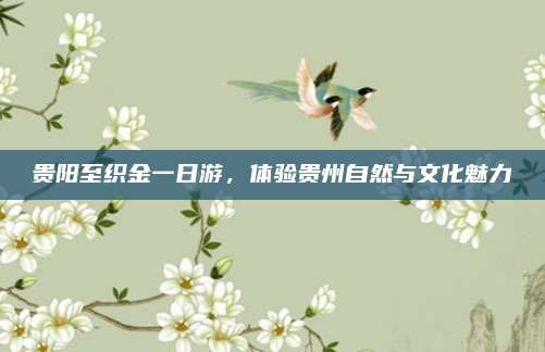 贵阳至织金一日游，体验贵州自然与文化魅力