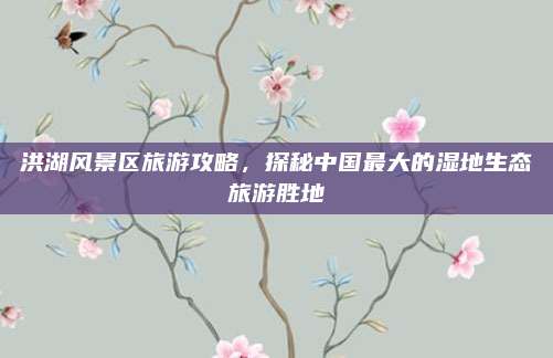 洪湖风景区旅游攻略，探秘中国最大的湿地生态旅游胜地
