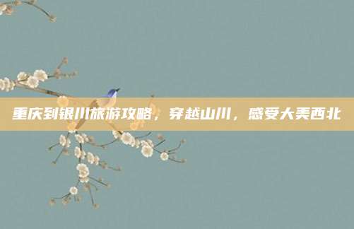 重庆到银川旅游攻略，穿越山川，感受大美西北