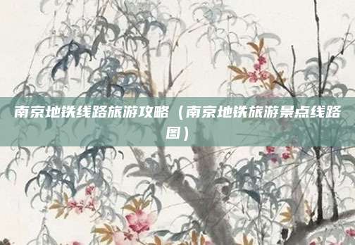 南京地铁线路旅游攻略（南京地铁旅游景点线路图）