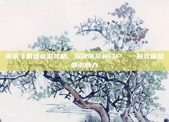 南京飞机场旅游攻略，探秘南京新门户，一站式体验都市魅力