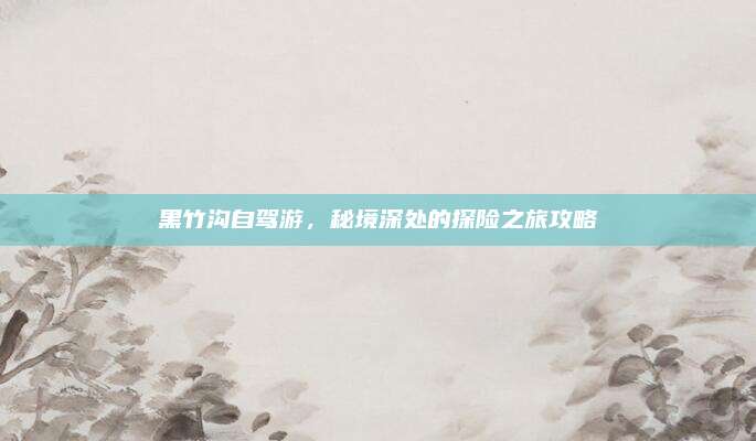 黑竹沟自驾游，秘境深处的探险之旅攻略