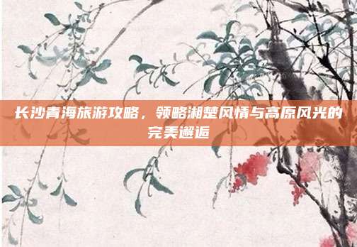 长沙青海旅游攻略，领略湘楚风情与高原风光的完美邂逅