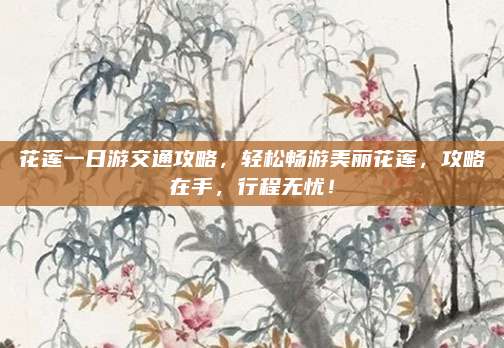 花莲一日游交通攻略，轻松畅游美丽花莲，攻略在手，行程无忧！