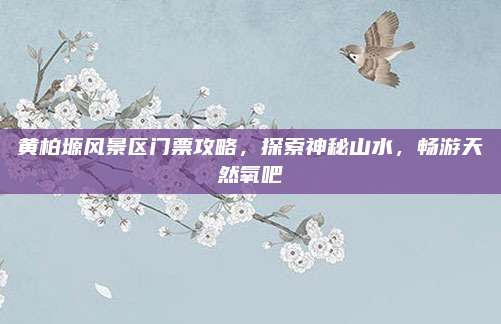 黄柏塬风景区门票攻略，探索神秘山水，畅游天然氧吧