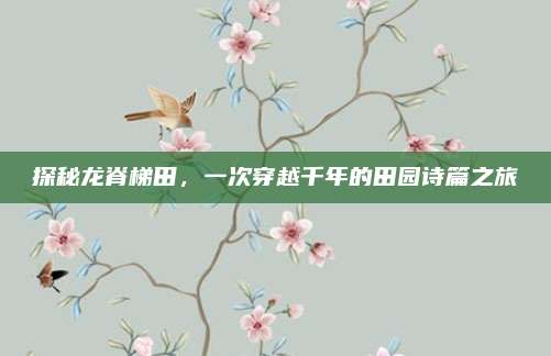 探秘龙脊梯田，一次穿越千年的田园诗篇之旅