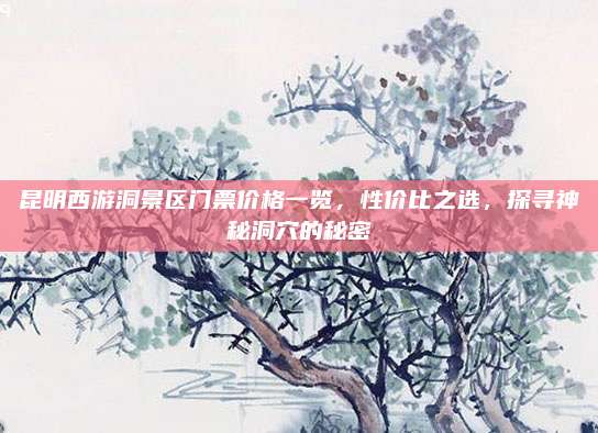 昆明西游洞景区门票价格一览，性价比之选，探寻神秘洞穴的秘密