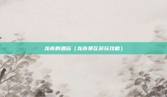 龙市的酒店（龙市景区游玩攻略）