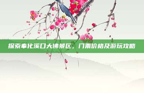 探索奉化溪口大佛景区，门票价格及游玩攻略