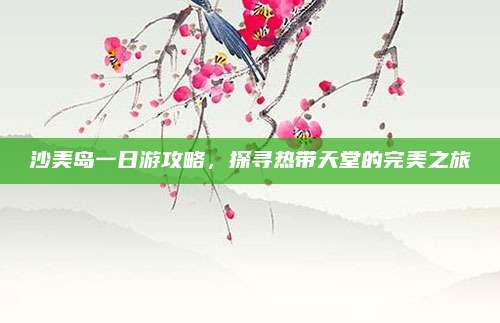 沙美岛一日游攻略，探寻热带天堂的完美之旅