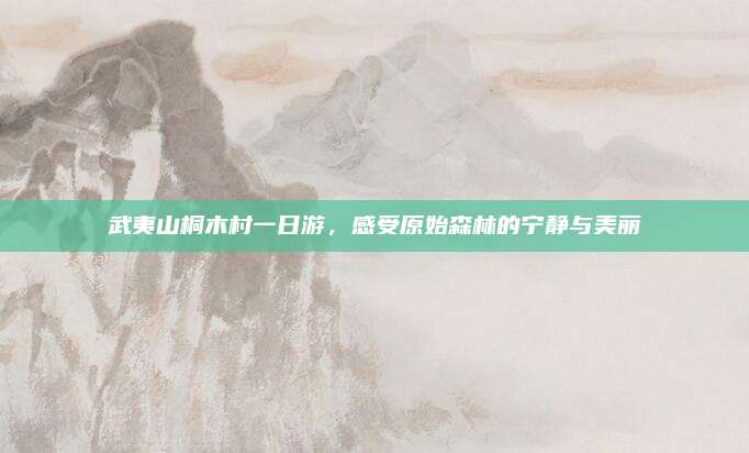 武夷山桐木村一日游，感受原始森林的宁静与美丽